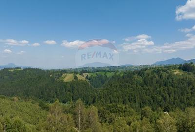 Teren Panoramic in Bran – Vedere spre Bucegi & Piatra Craiului - 7