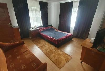 Casă cu Teren 3000 Mp în Dăbâca - 1
