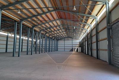 Spațiu industrial, 800 mp în Tunari