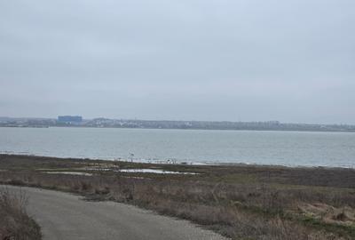 Teren Construcții intravilan de 10000 mp, în Tuzla - 9