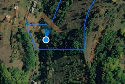 Teren de 5000 mp, în Tăuții-Măgherăuș - 12