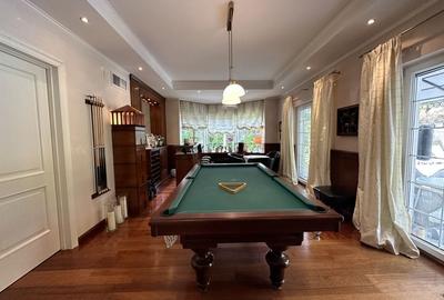 Vila individuala, teren 3000 mp, Iancu Nicolae - 14