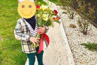 Casă cu 2 camere în Vulturi - 8