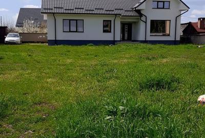 Casă cu 3 camere în Bariera Vâlcii - 2