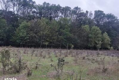 Teren de 950 mp, în Central - 2