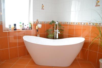 Casa-Vila cu multiple destinatii Unirea - 12