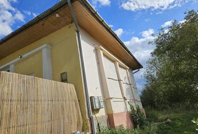 Vanzare spa?iu comercial satesc - 4