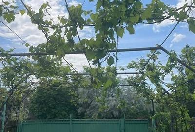 Casă cu 3 camere cu Teren 1200 Mp în Lucieni - 2
