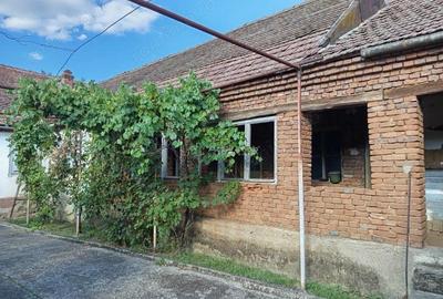 Naidas, Casa 7 Incaperi, 842mp Teren, Pret Negociabil - 8