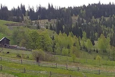 Teren 14.485 m.p. - Iacobeni, Suceava - 2