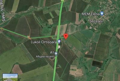 Teren la sosea Ortisoara - Autostrada A1 - 4