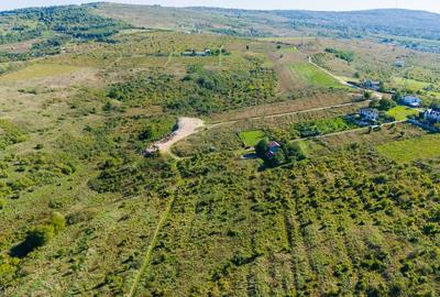 Vanzare Teren Intravilan 11.3 Ha Bucium PUZ+CU valabil Case D+P+E+M - 6