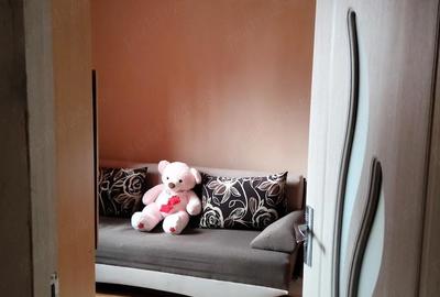 Apartament cu 2 camere semidecomandat în Central - 3