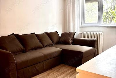 Inchiriere apartament cu o camera in zona Dambovita - 3