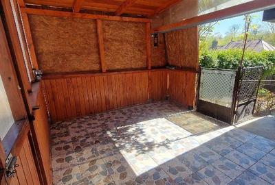 Casă cu 3 camere cu Teren 1352 Mp în Horia - 11