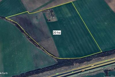 20 ha teren arabil intre Arad si Pecica 20 ha teren arabil intre Arad si Pecica - 4