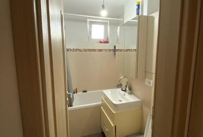 Apartament cu 4 camere semidecomandat, mobilat în Nicolae Grigorescu - 8