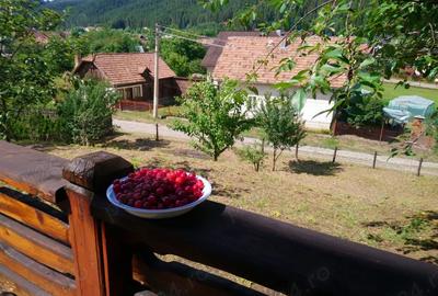 Casa de vanzare Campulung Moldovenesc - 6