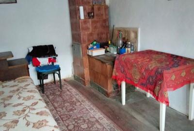 Casă cu 3 camere în Bucești - 6