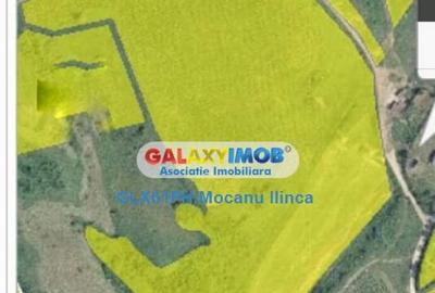 Teren 60000 mp, in Plopu, la 10 km de Ploiesti - 8