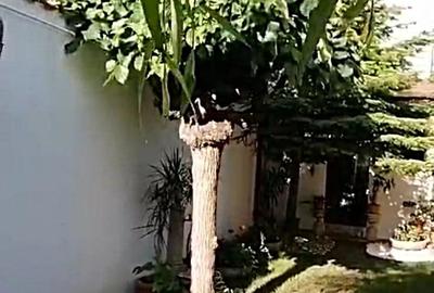 Vanzare casa renovata 2 camere curte proprie foisor Cotroceni - 3