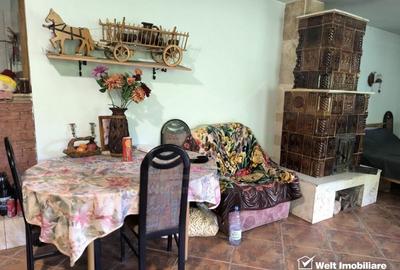 Casa de vacanta, cu lac, 5640 mp teren, Huta, com. Chiuiesti, jud. Cluj - 9