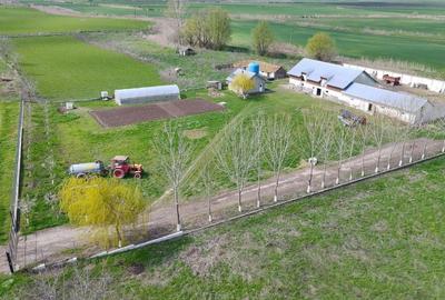 Spațiu comercial, în Ciobanu - 1