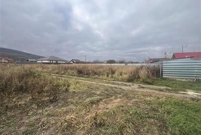 Hemeius- teren 500 mp- 18 ml deschidere! - 3