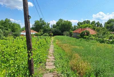 Teren cu casa de vanzare - 11