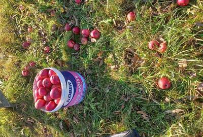 Casă cu 4 camere în Sat Bătrân - 2