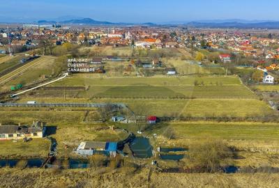 Teren agricol intravilan de 5000 mp, în Prejmer - 2