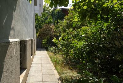 O vila cu prestanta, in Cismigiu - 36