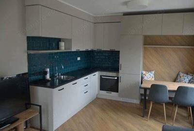 Apartament 2 camere Torontalului de inchiriat - 2
