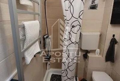 Garsoniera de 16 mp in zona Buziasului renovata - 7