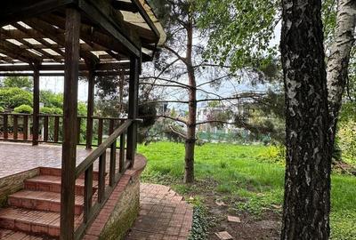 Casă cu 4 camere cu Teren 1200 Mp în Central - 9