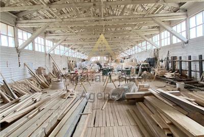 Spațiu comercial, de 3,000 mp, în Agăș - 2