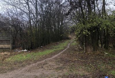 Vand teren imprejmuit cu gard de sarma:1100 mp sat Padurisu comuna Frumusani Vand teren imprejmuit cu gard de sarma:1100 mp sat Padurisu comuna Frumusani - 3