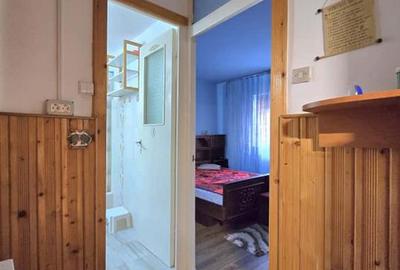 Apartament cu 3 camere decomandat în Nufărul - 9