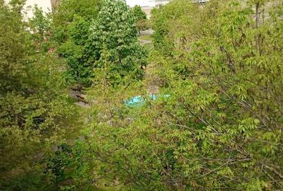 Apartament cu 3 camere decomandat în Steaua - 5