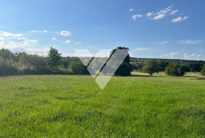 Teren intravilan – 9 loturi - Rasinari, Sibiu - 4