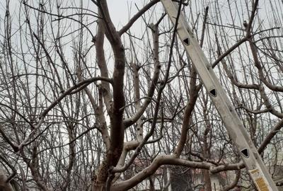 Casă cu 2 camere în Făget - 7