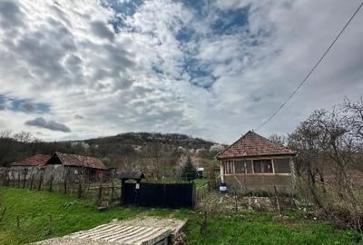 Vand teren la țarǎ cu casa veche - 2