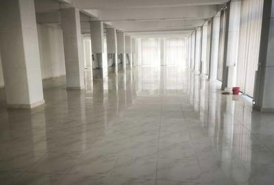 Spațiu comercial, de 450 mp, în Ultracentral - 1