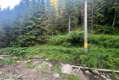 Spațiu comercial, în Ciocănești - 18