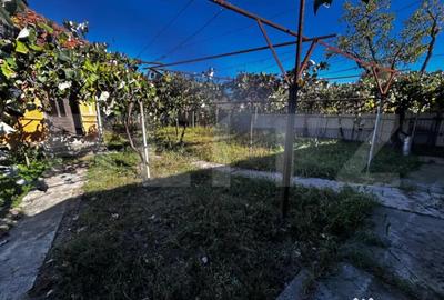 Casă cu 3 camere cu Teren 1173 Mp în Debarcader - 2