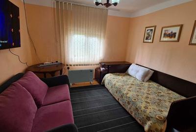 Casă cu 3 camere în Slătioara - 1