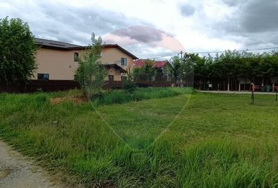 Teren 601mp Balotesti / Strada Morarilor - 3