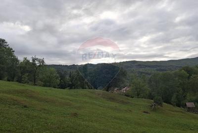 Teren de 4000 mp, în Moroeni - 6