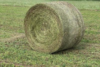 Spațiu comercial, de 40,000 mp, în Brestovăț - 2