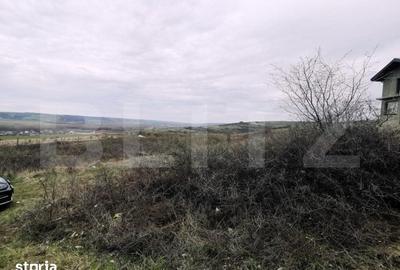 Teren de 1000 mp, în Șimnicu de Sus - 3
